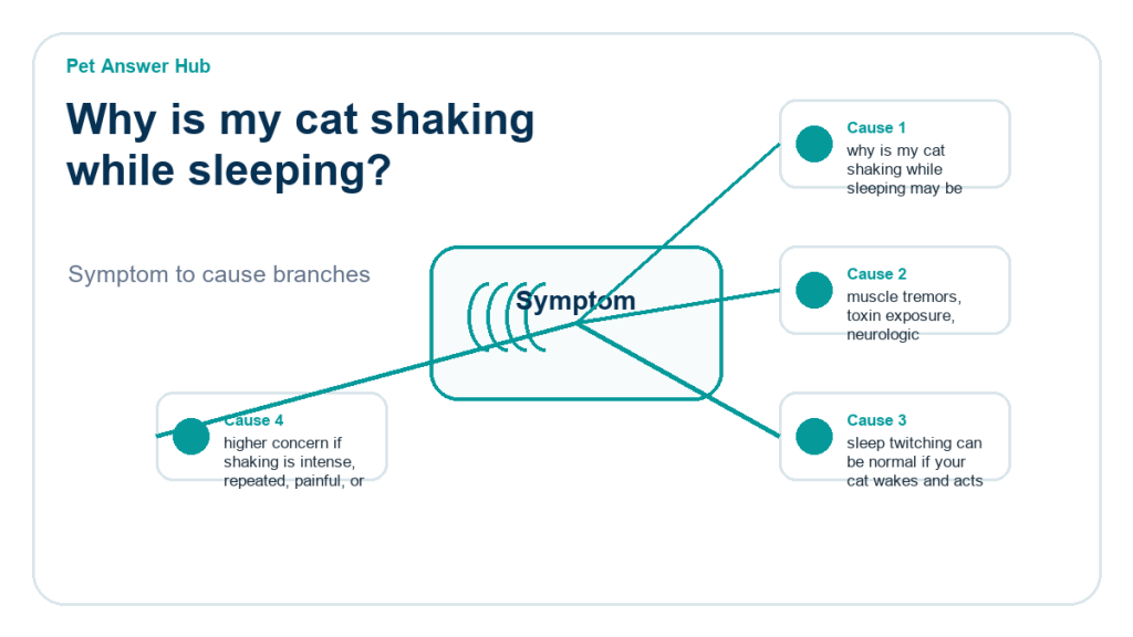 why is my cat shaking while sleeping diagnostic cause diagram
