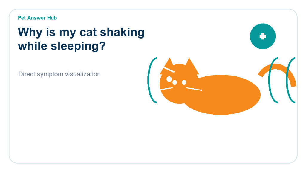 why is my cat shaking while sleeping cat symptom state visual