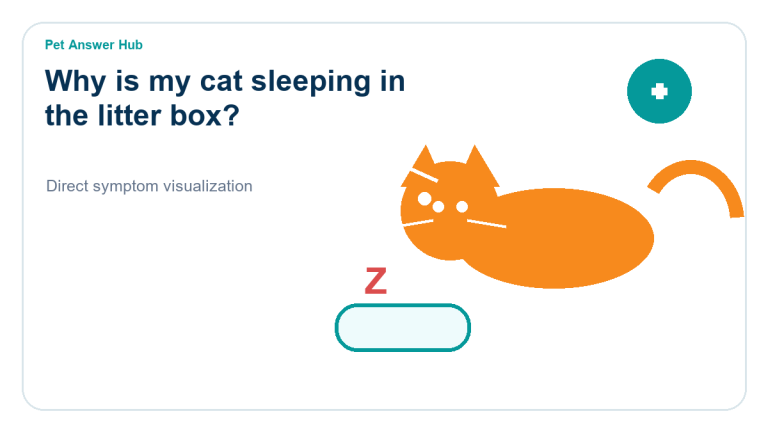 why is my cat sleeping in the litter box cat behavior visual