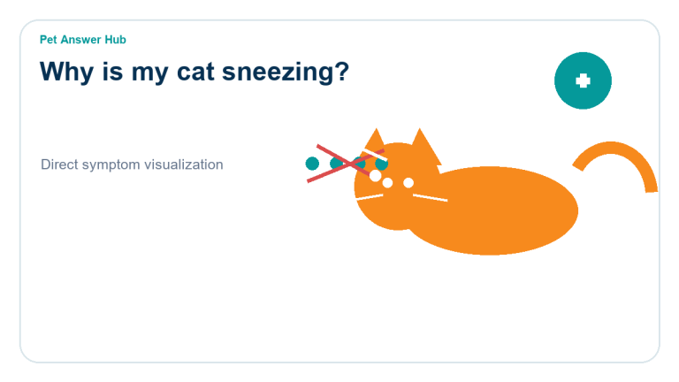 why is my cat sneezing symptom state visual