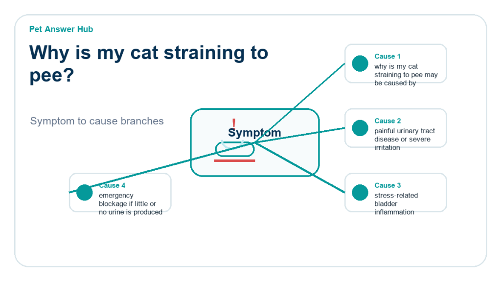 why is my cat straining to pee diagnostic cause diagram