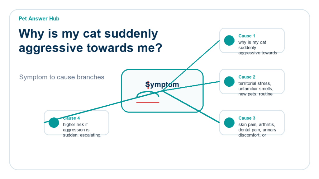 why is my cat suddenly aggressive towards me behavior cause diagram