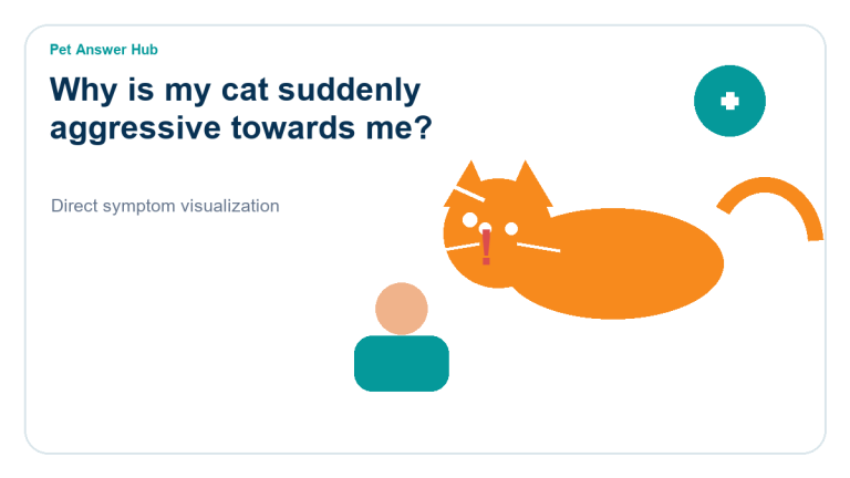 why is my cat suddenly aggressive towards me cat behavior visual