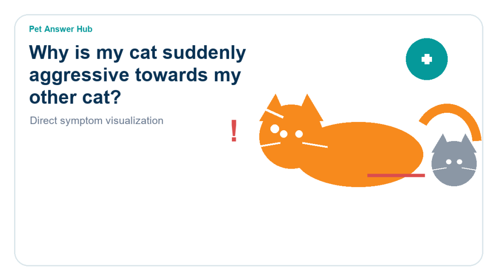 why is my cat suddenly aggressive towards my other cat cat behavior visual