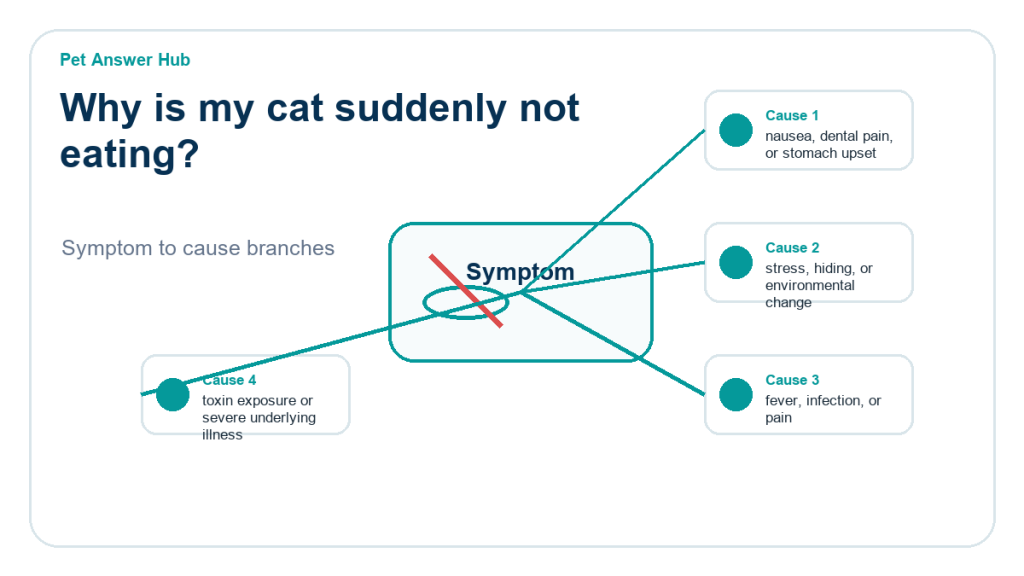 why is my cat suddenly not eating diagnostic cause diagram