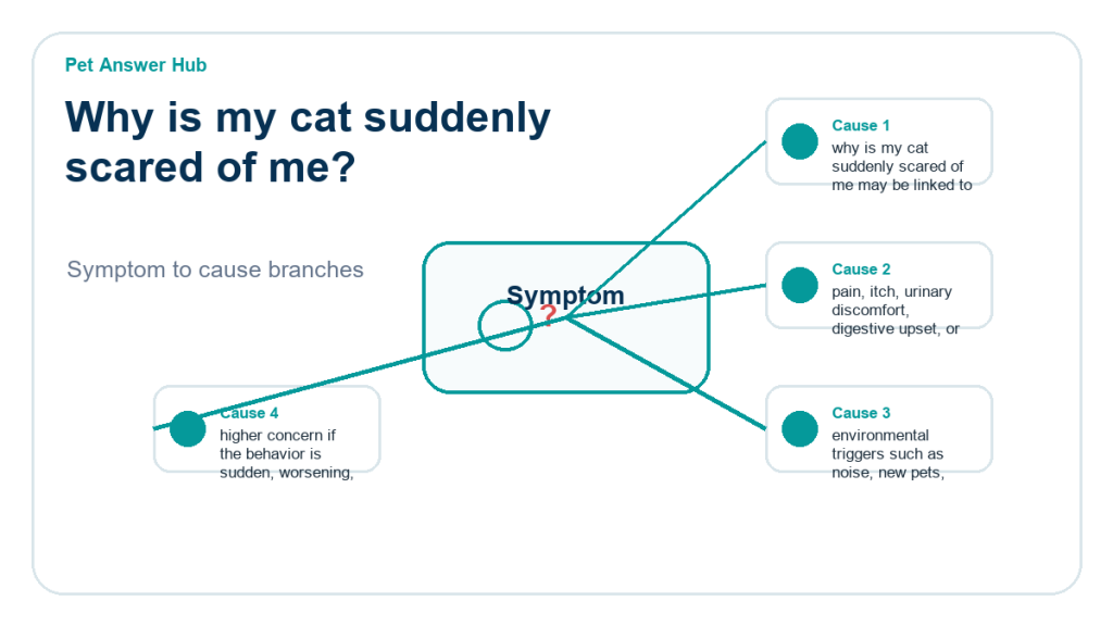 why is my cat suddenly scared of me behavior cause diagram