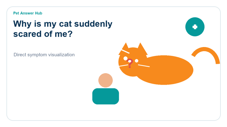 why is my cat suddenly scared of me cat behavior visual