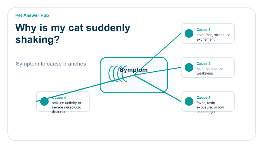 why is my cat suddenly shaking diagnostic cause diagram