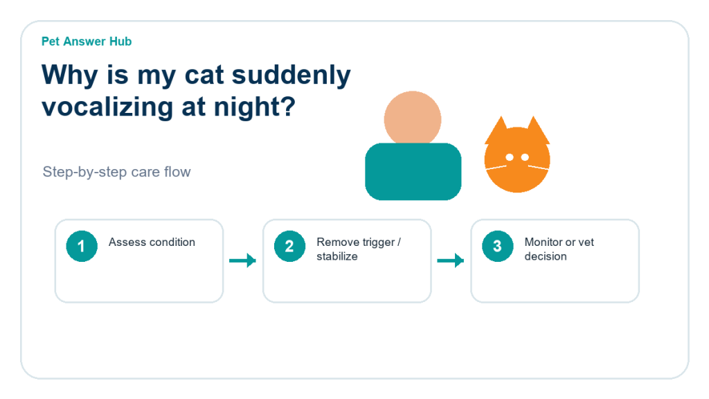 why is my cat suddenly vocalizing at night cat care action flow