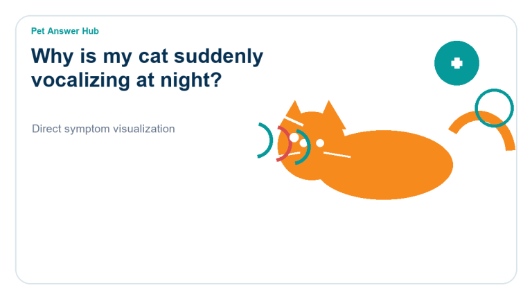 why is my cat suddenly vocalizing at night cat symptom state visual