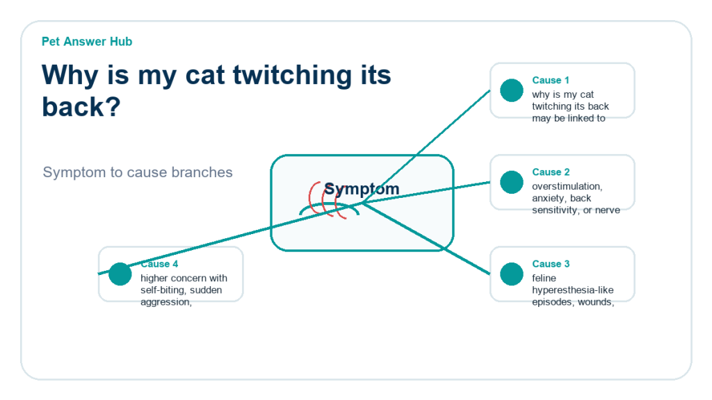why is my cat twitching its back behavior cause diagram