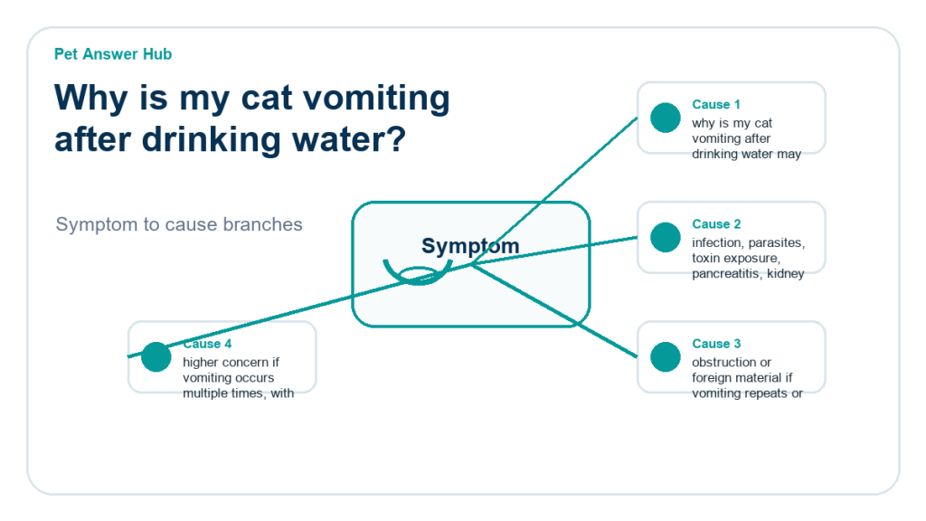 why is my cat vomiting after drinking water diagnostic cause diagram