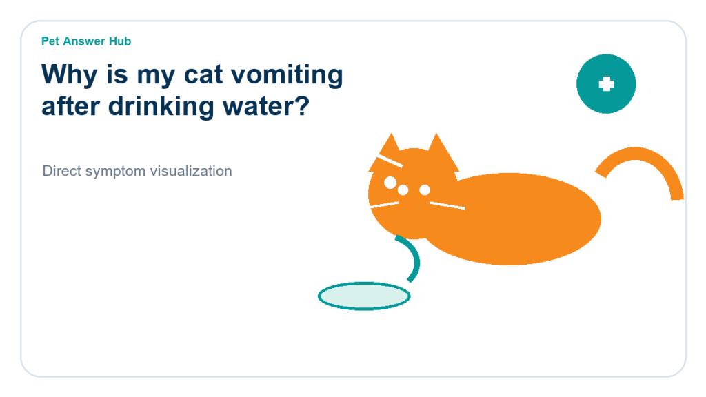 why is my cat vomiting after drinking water cat symptom state visual