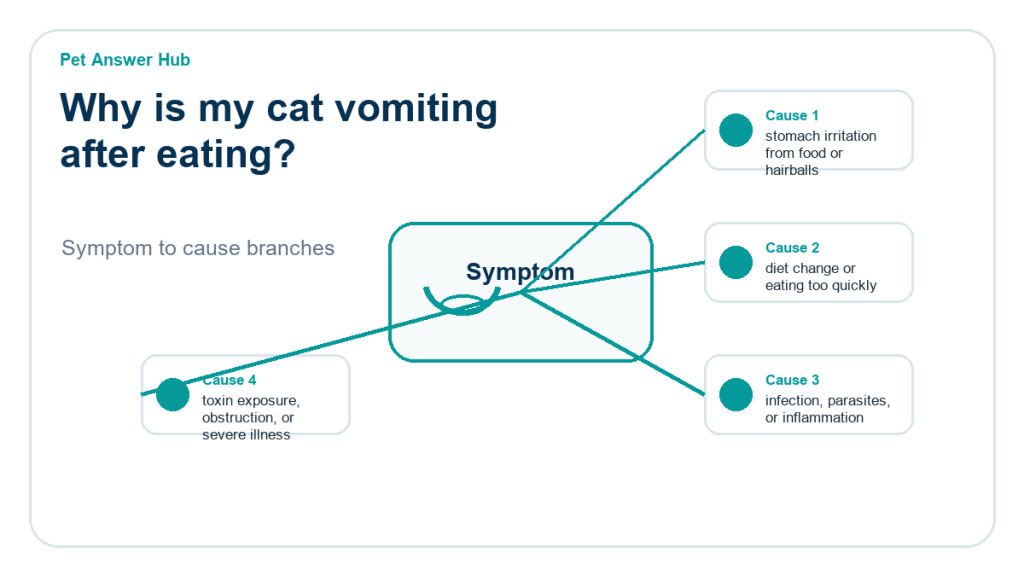 why is my cat vomiting after eating diagnostic cause diagram