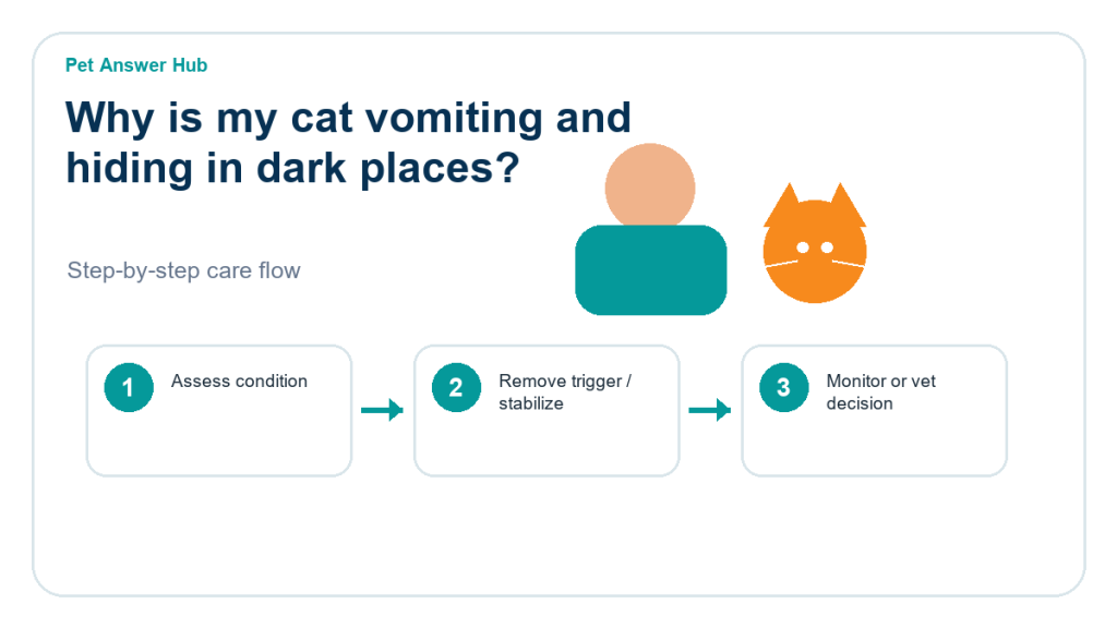 why is my cat vomiting and hiding in dark places cat care action flow