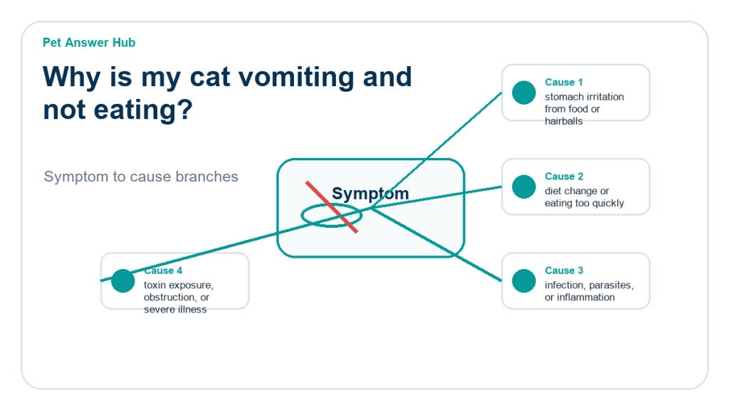 why is my cat vomiting and not eating diagnostic cause diagram