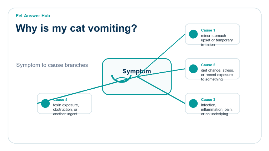 why is my cat vomiting cause diagram