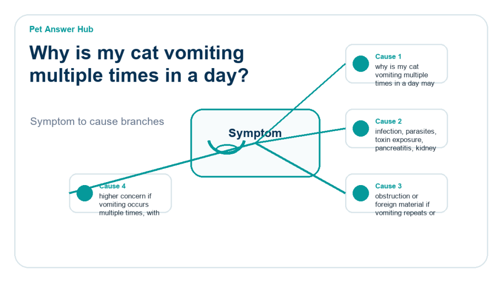 why is my cat vomiting multiple times in a day diagnostic cause diagram