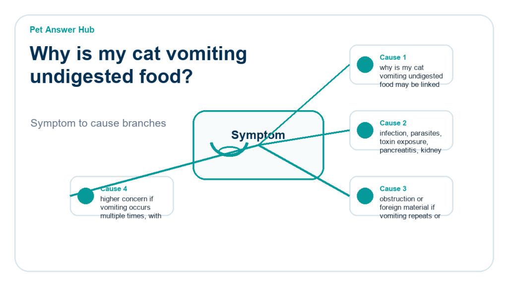 why is my cat vomiting undigested food diagnostic cause diagram