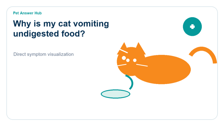 why is my cat vomiting undigested food cat symptom state visual