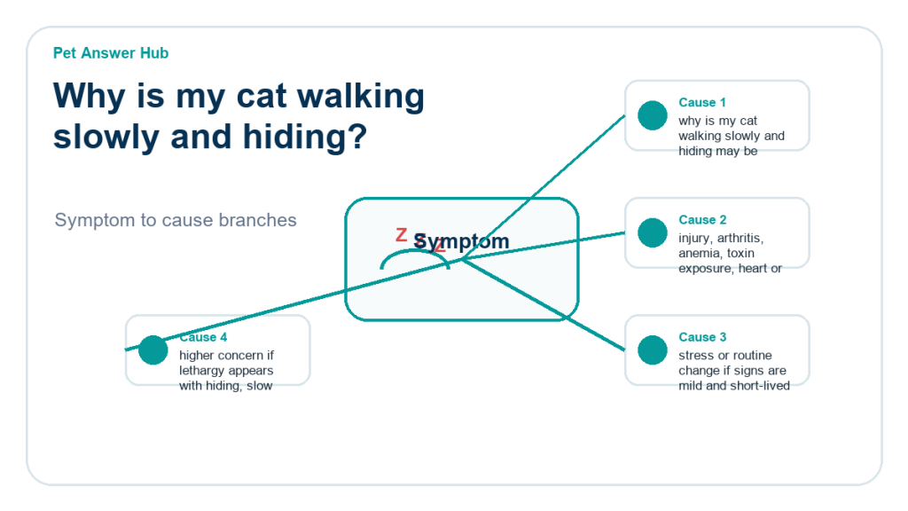 why is my cat walking slowly and hiding diagnostic cause diagram