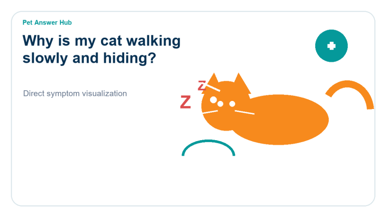 why is my cat walking slowly and hiding cat symptom state visual