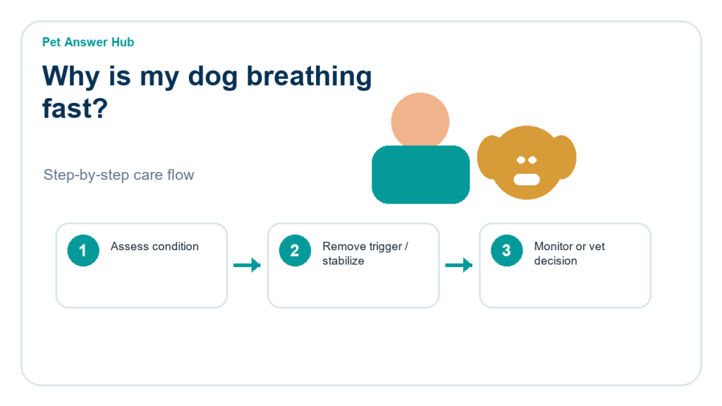 why is my dog breathing fast triage action flow