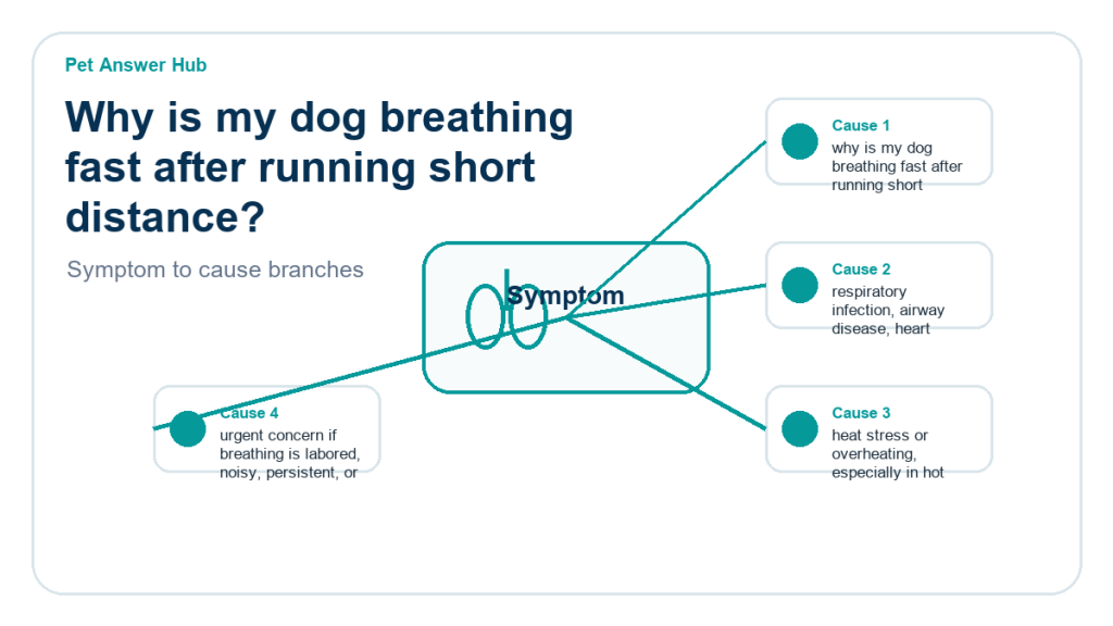 why is my dog breathing fast after running short distance diagnostic cause diagram
