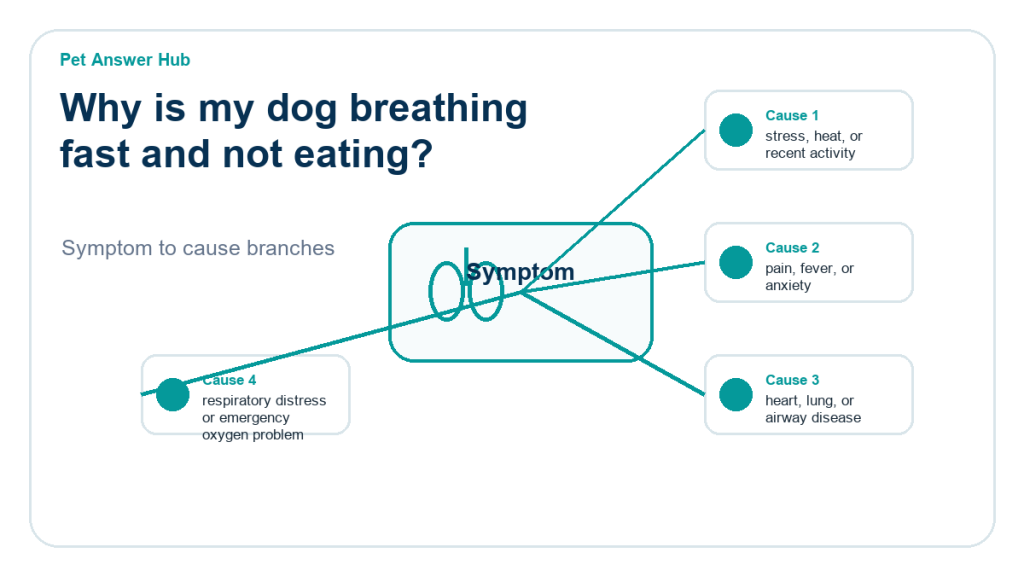 why is my dog breathing fast and not eating diagnostic cause diagram