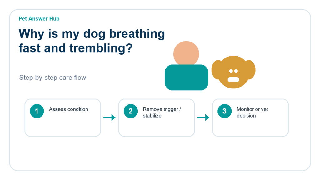 why is my dog breathing fast and trembling dog care action flow