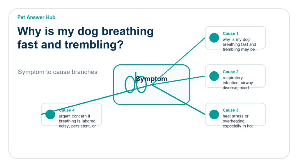 why is my dog breathing fast and trembling diagnostic cause diagram