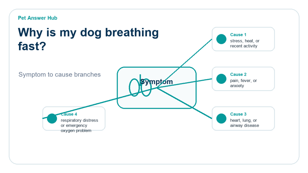 why is my dog breathing fast diagnostic cause diagram