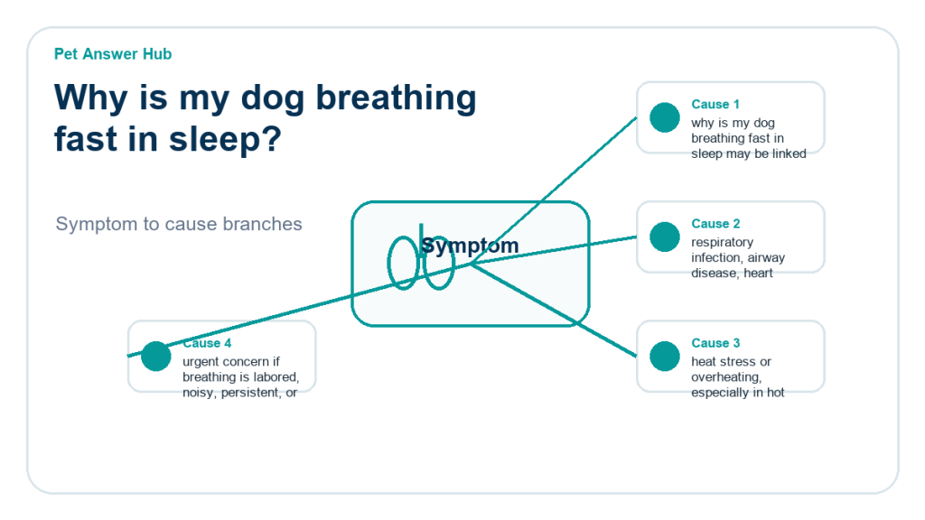 why is my dog breathing fast in sleep diagnostic cause diagram