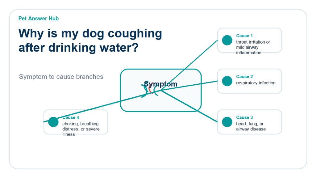 why is my dog coughing after drinking water diagnostic cause diagram