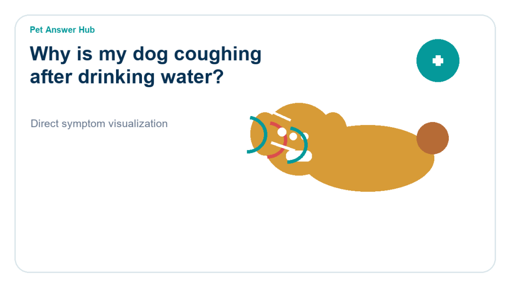why is my dog coughing after drinking water symptom state visual