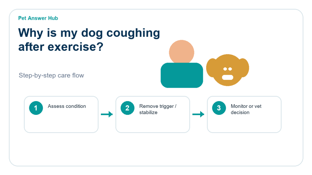 why is my dog coughing after exercise dog care action flow