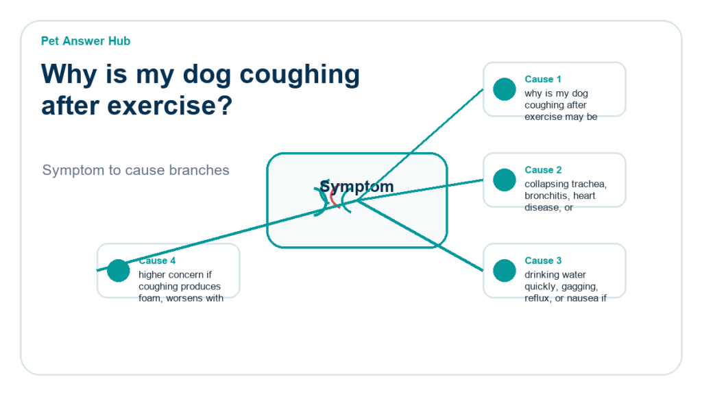 why is my dog coughing after exercise diagnostic cause diagram