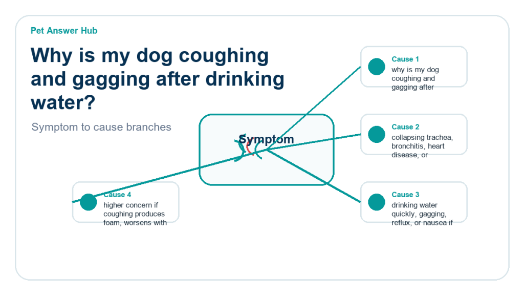 why is my dog coughing and gagging after drinking water diagnostic cause diagram