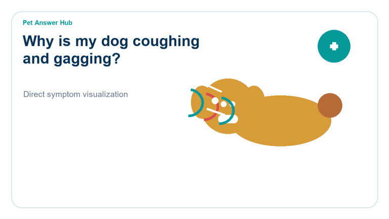 why is my dog coughing and gagging symptom state visual