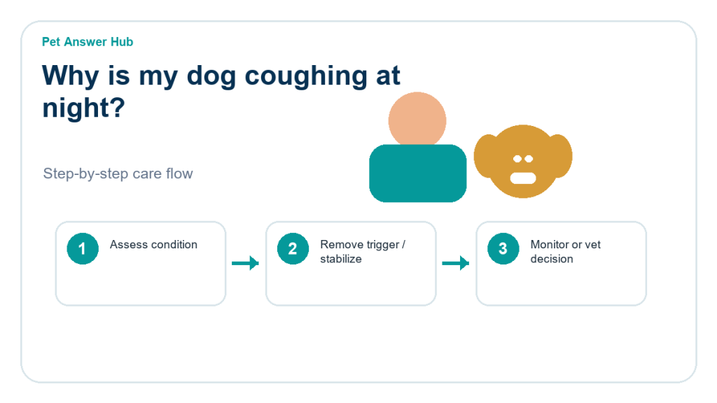 why is my dog coughing at night triage action flow