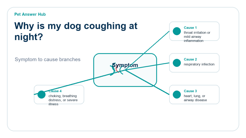 why is my dog coughing at night diagnostic cause diagram