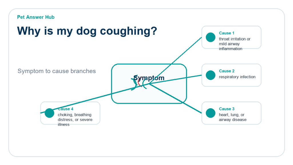why is my dog coughing diagnostic cause diagram