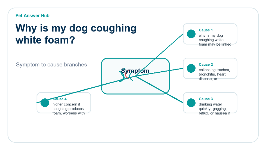 why is my dog coughing white foam diagnostic cause diagram