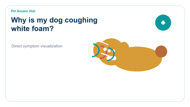 why is my dog coughing white foam dog symptom state visual