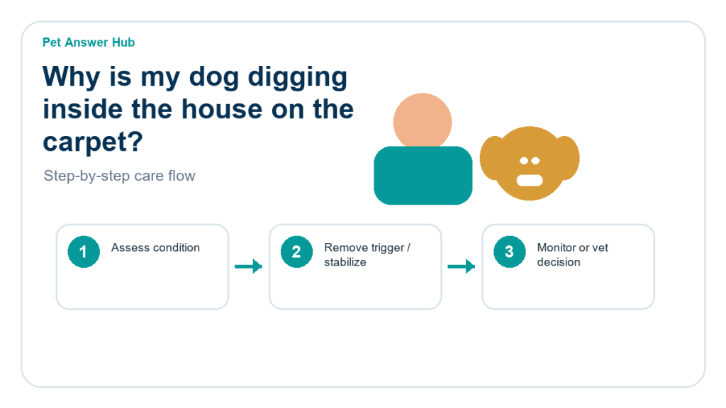 why is my dog digging inside the house on the carpet care action flow