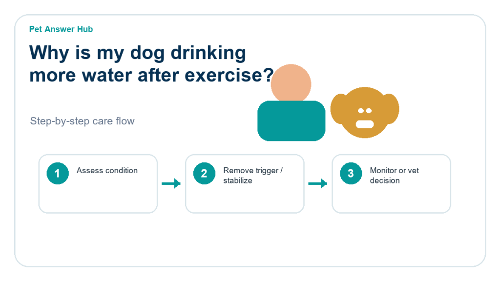 why is my dog drinking more water after exercise dog care action flow