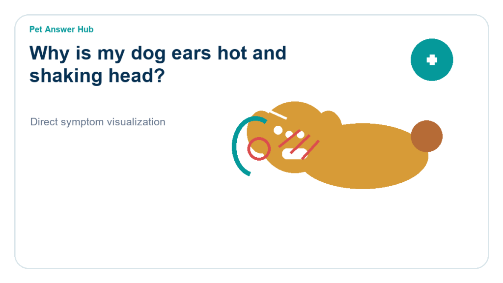 why is my dog ears hot and shaking head dog symptom state visual