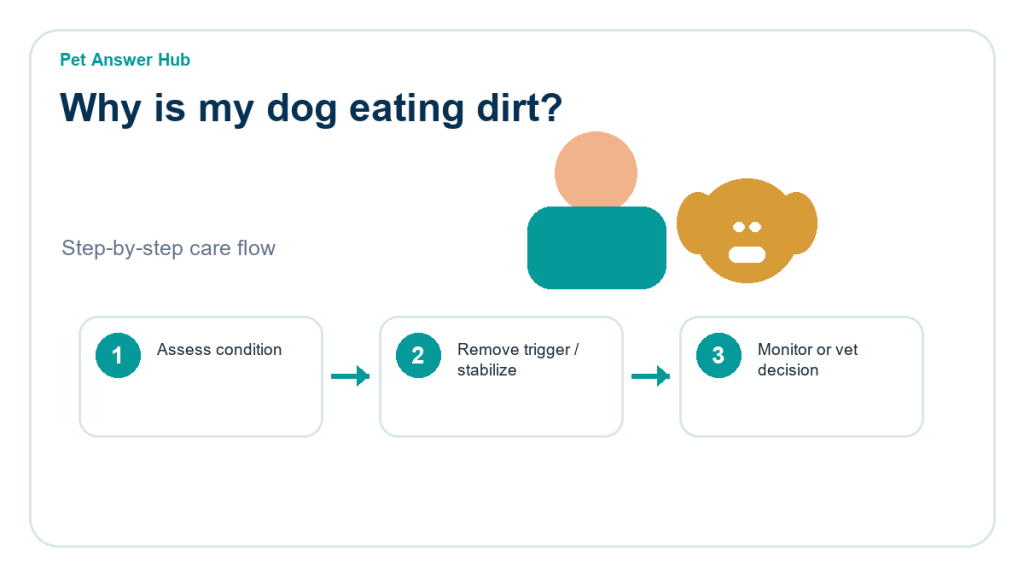 why is my dog eating dirt care action flow