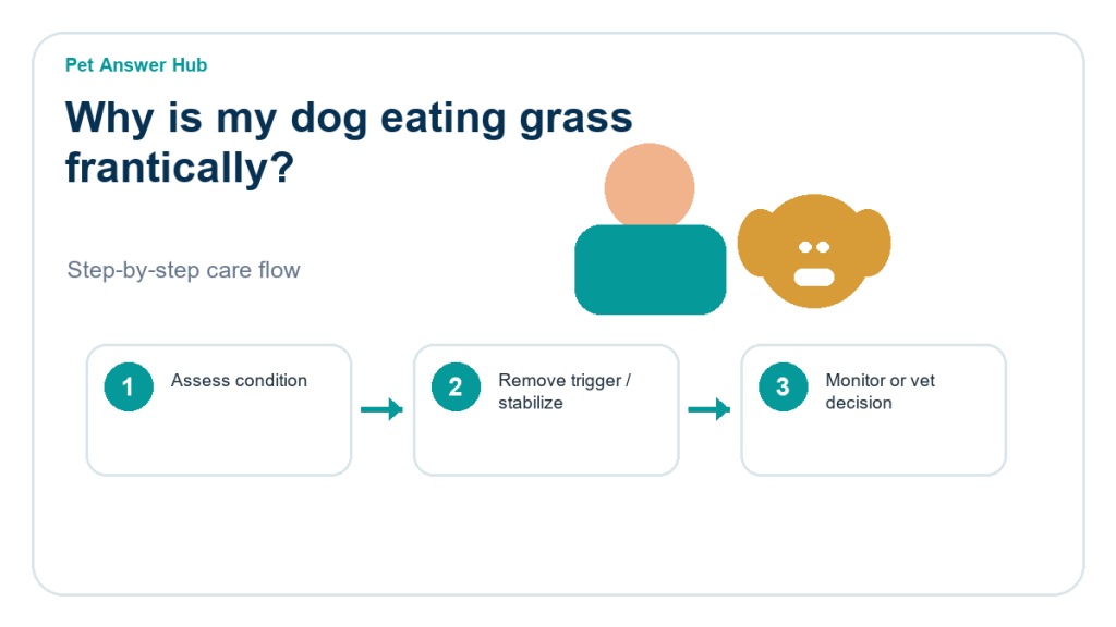 why is my dog eating grass frantically care action flow