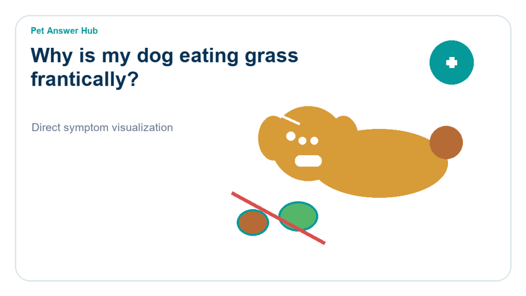 why is my dog eating grass frantically dog behavior visual